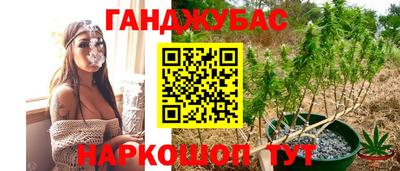 прущие грибы Коммунар